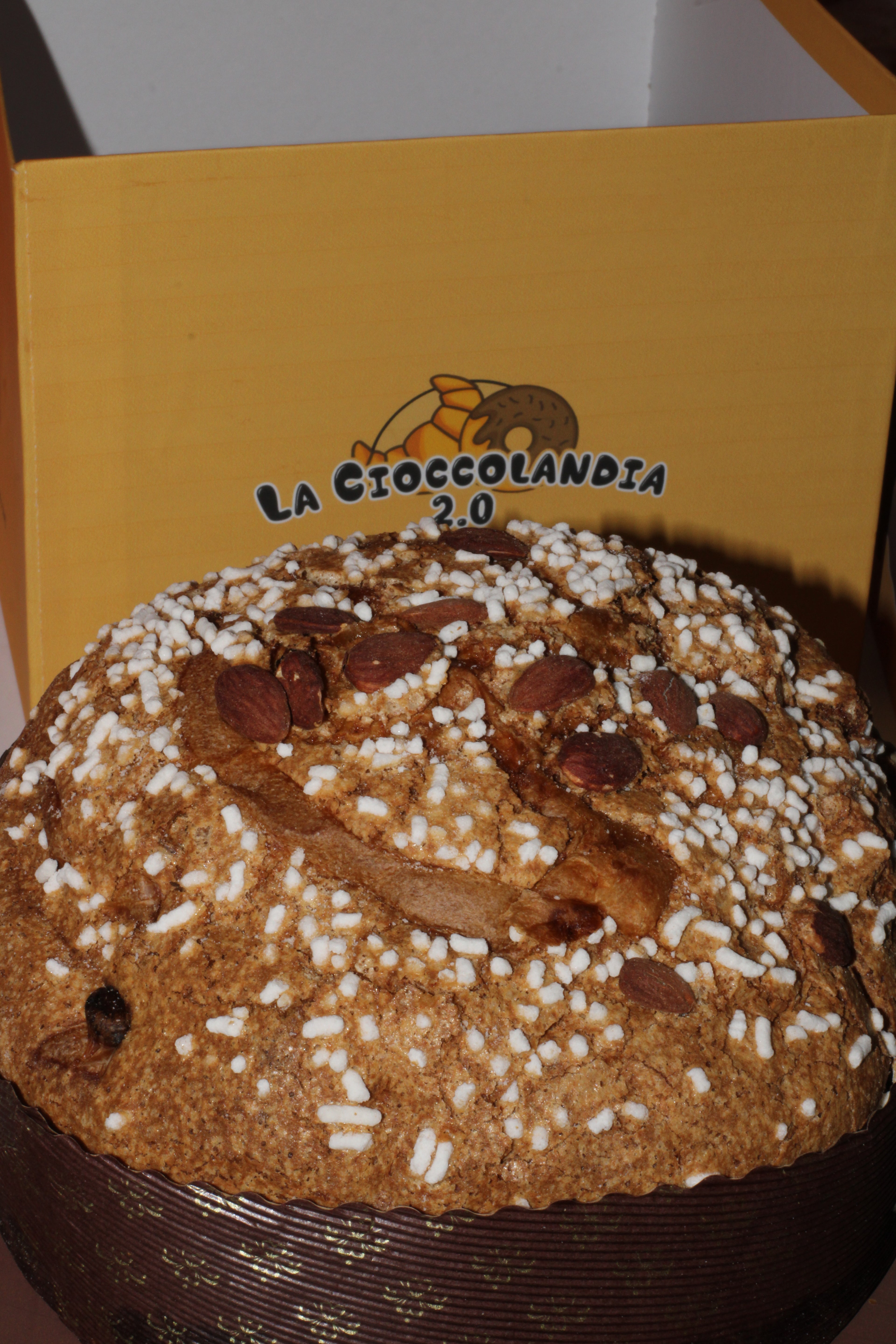CioccoPanettone Tradizionale – 1 Kg