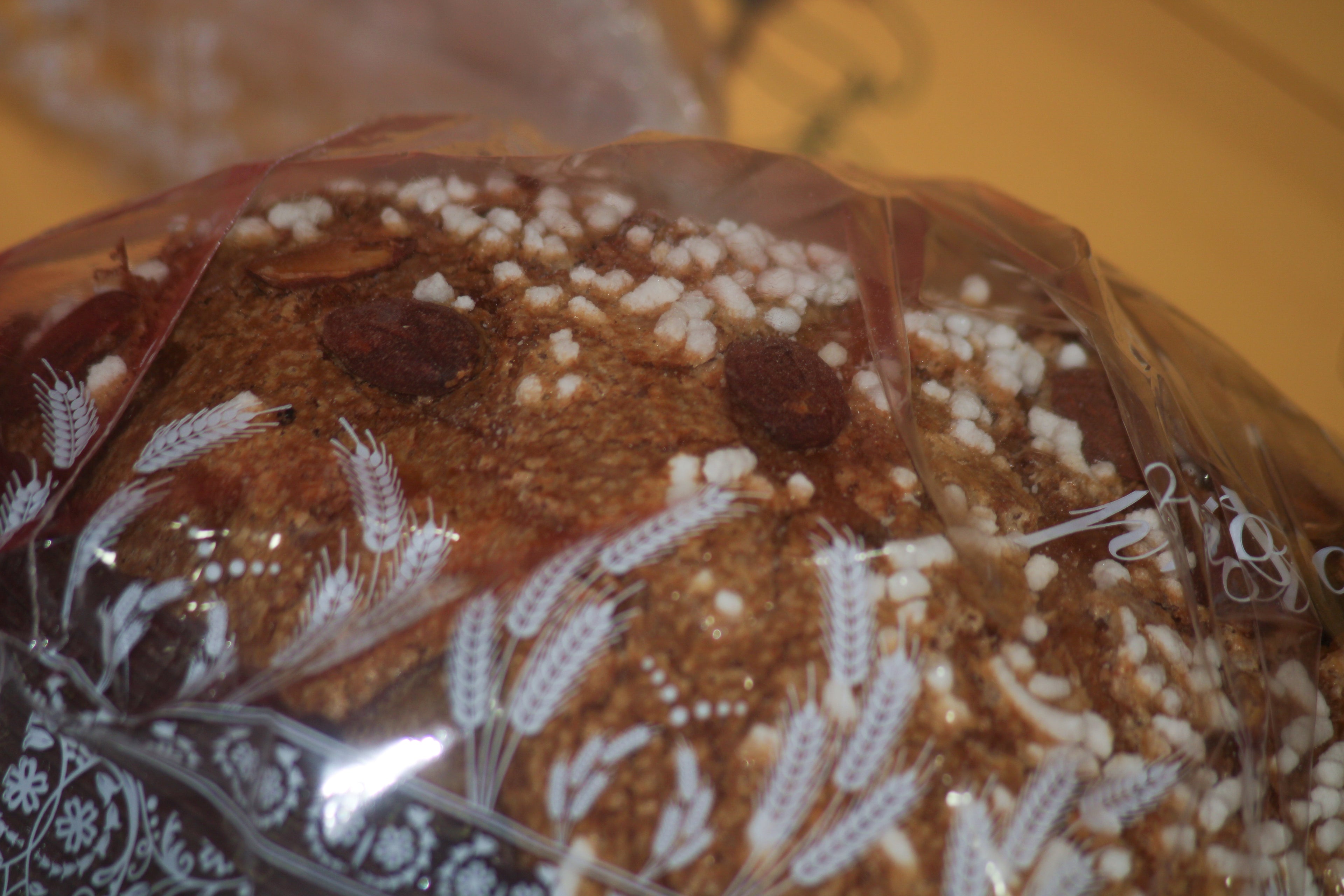 CioccoPanettone Tradizionale – 1 Kg